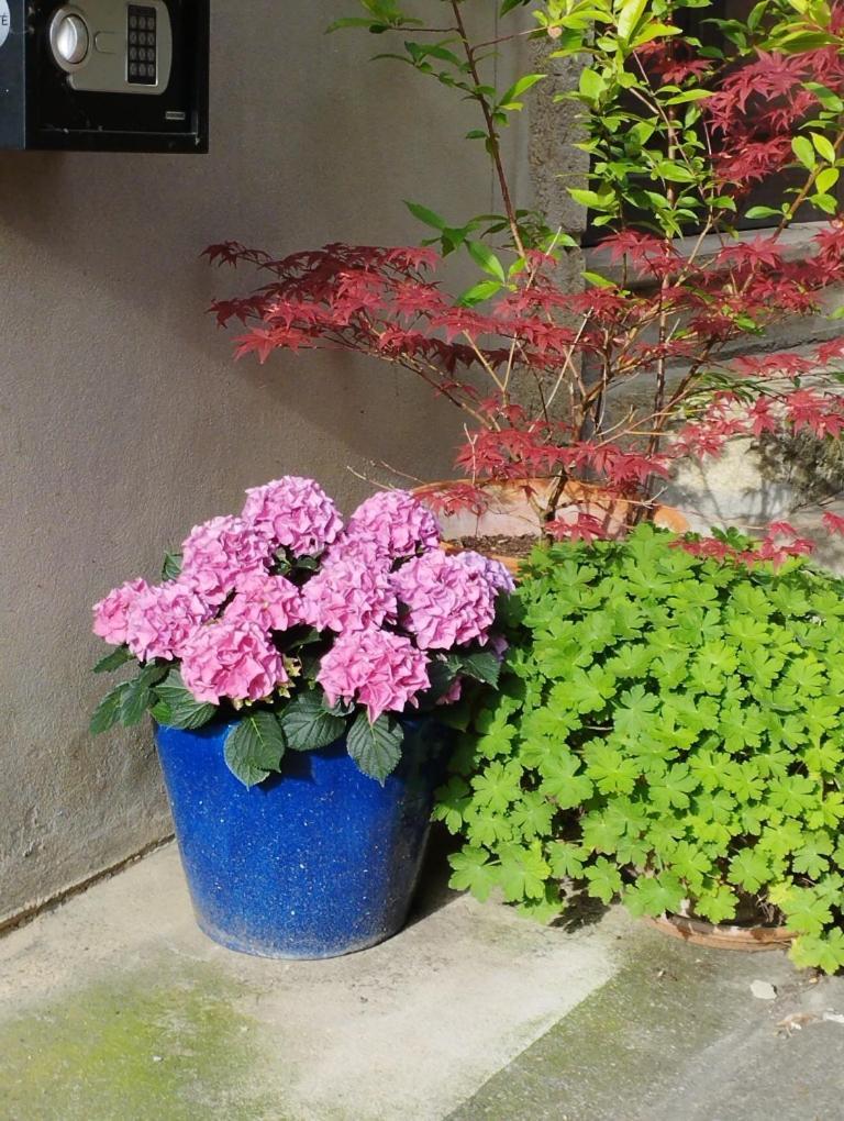 Gite Couleur Cuivre Cerdon  Exterior photo